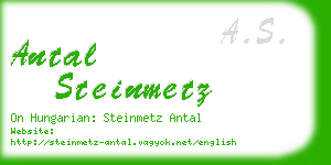 antal steinmetz business card